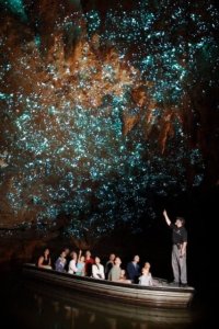 Jaskinia Waitomo - niebo pod ziemią